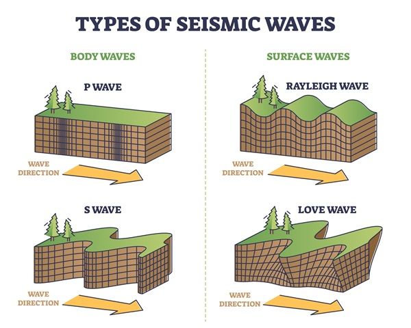 the types of seismic waves and how they are used to help them understand