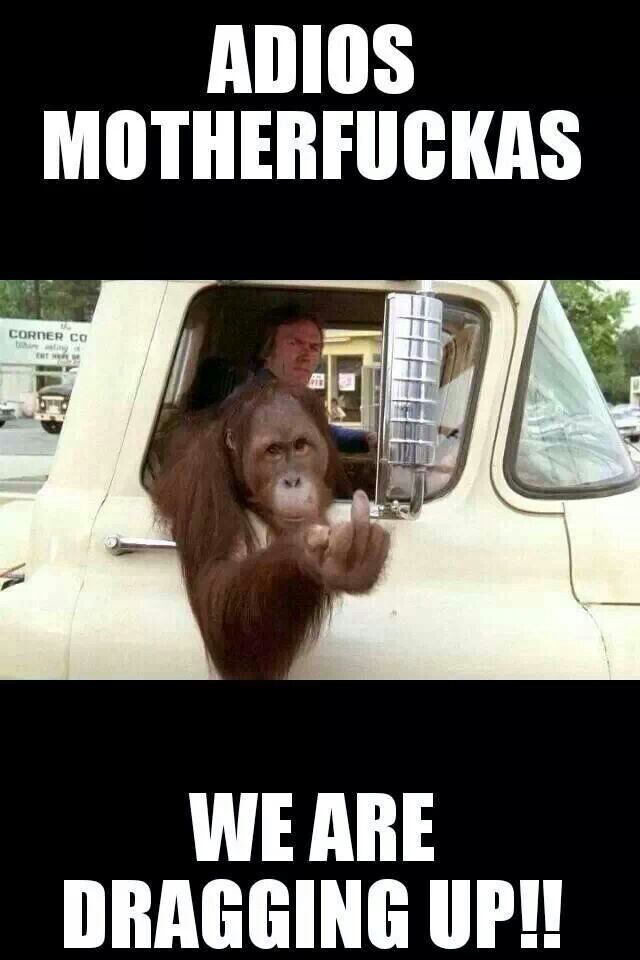 an orangutan hanging out the window of a car with caption that reads empty chair has going to far to the left