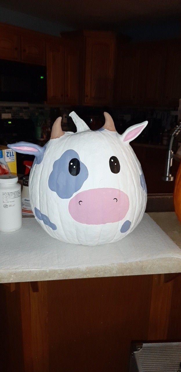 a cow pumpkin sitting on top of a counter