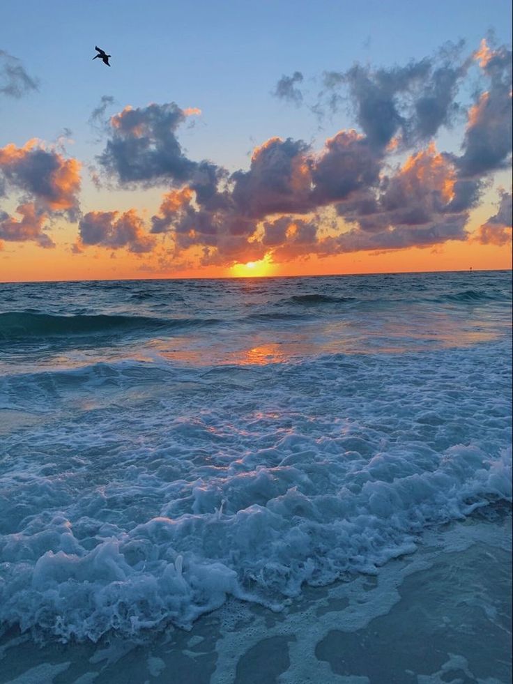 the sun is setting over the ocean with waves crashing in front of it and a bird flying overhead