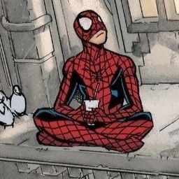 a spider - man sitting on the ground in front of some pigeons