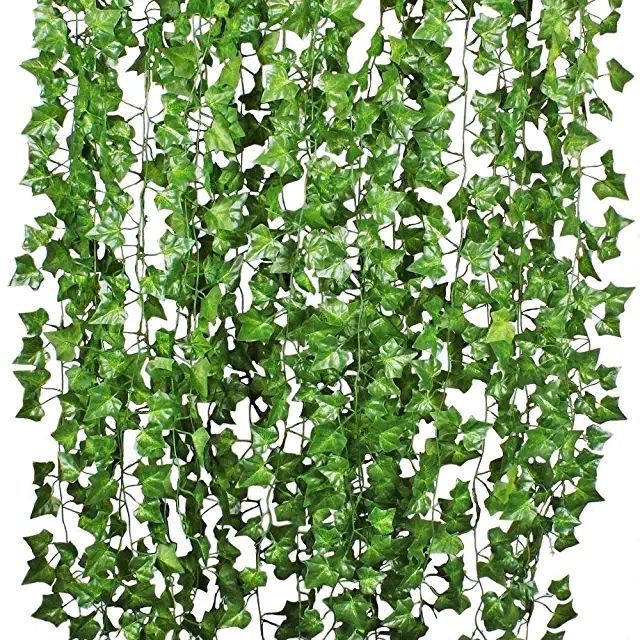 a green plant hanging from the ceiling