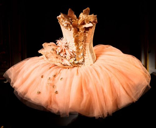 a ballerina's tutu in an orange dress with gold sequins