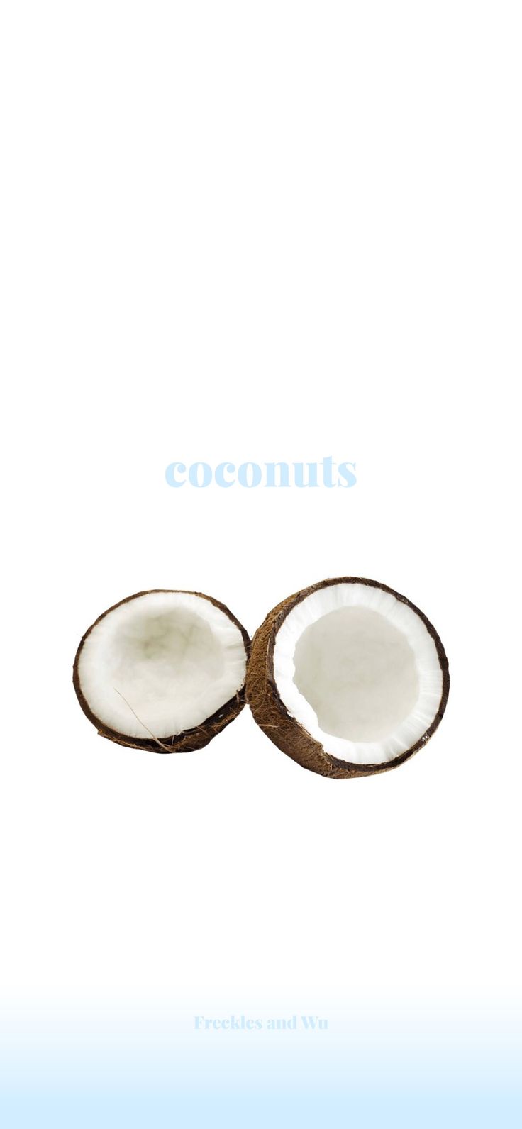 two halves of coconuts sitting next to each other