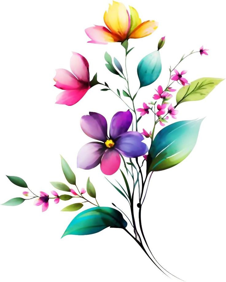 colorful flowers with green leaves on a white background