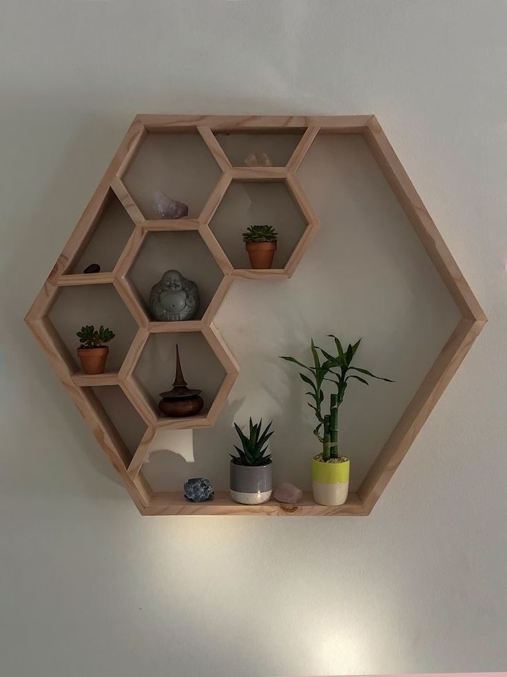 the shelves are filled with various plants and potted plants on top of each shelf