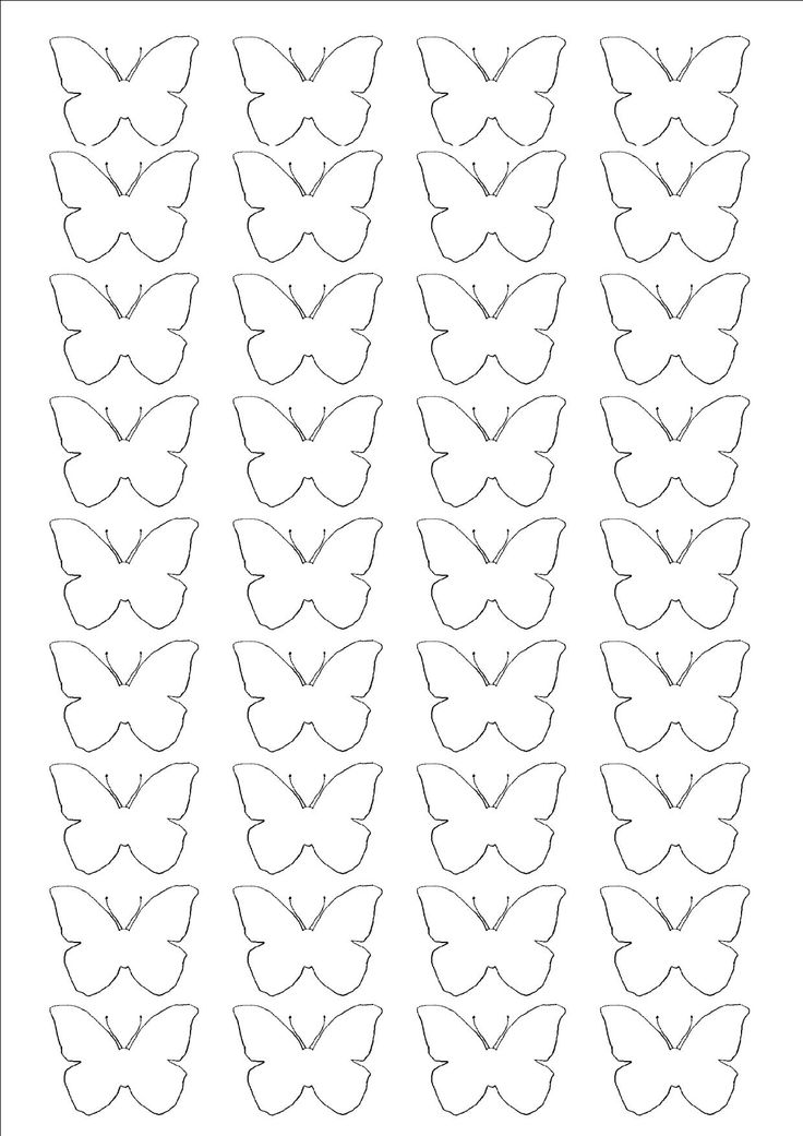 the outlines for butterfly shapes are shown in black and white, with one line drawn out