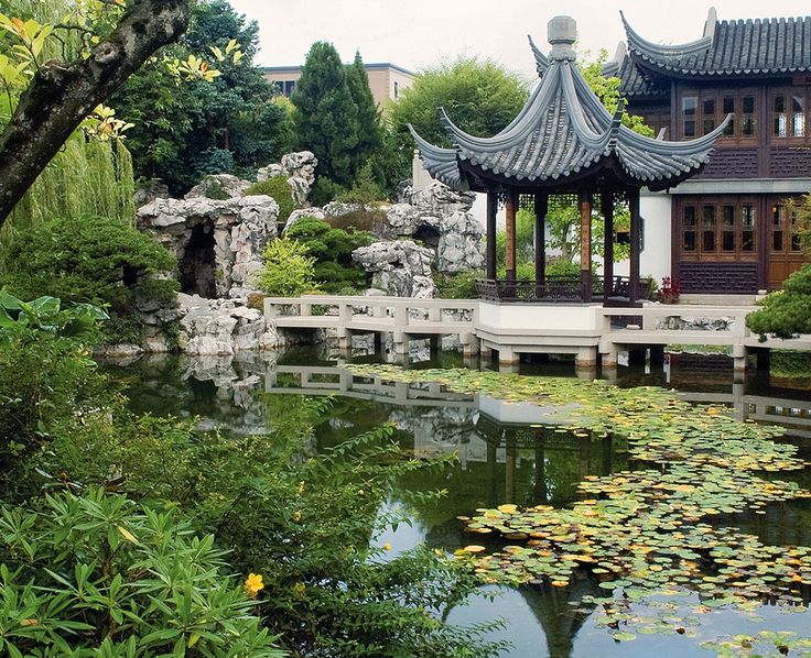 a pond with water lilies in front of a building