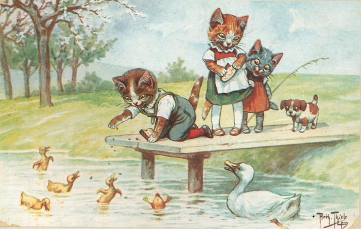 there are many cats that are standing on the dock