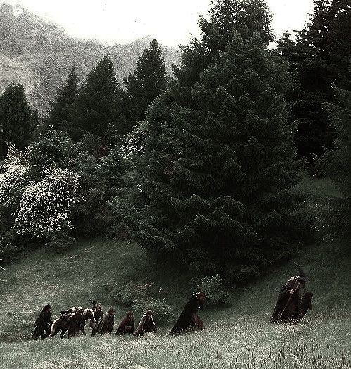 black and white photograph of people sitting on the grass in front of trees with mountains in the background