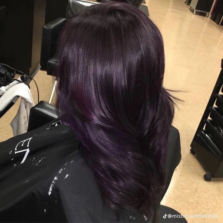 Violet Black Hair, Dark Violet Hair, Purple Hair Dye, Dark Purple Hair Color, Violet Hair Colors, Hair Color Plum, Dark Purple Hair, Dyed Hair Purple, Plum Hair