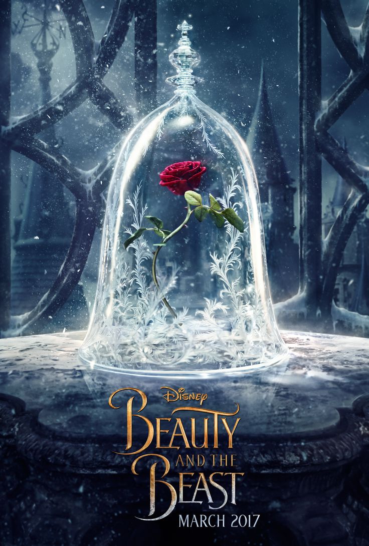 the poster for disney's beauty and the beast