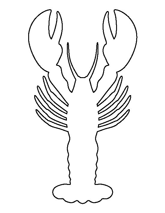 the outline of a lobster on a white background