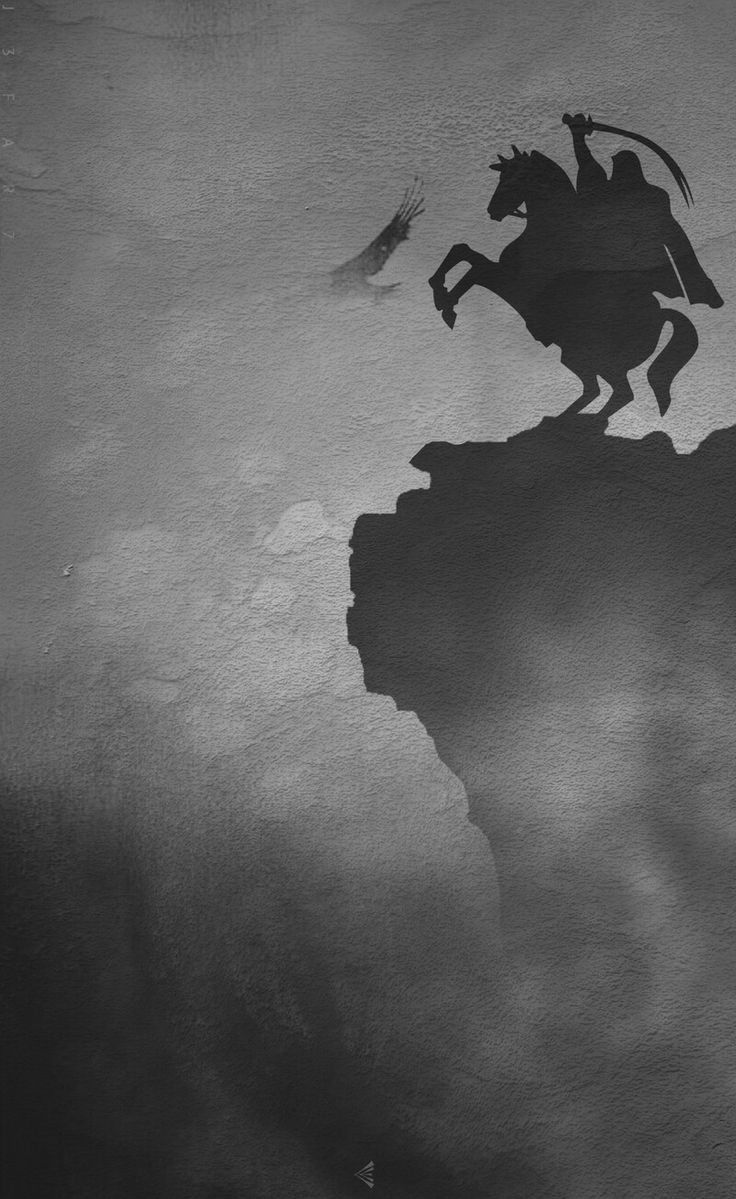 the shadow of a man riding a horse on top of a cliff with a bird flying by