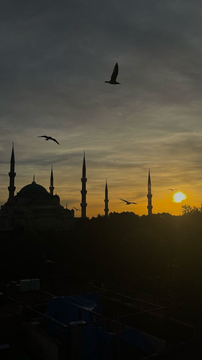 birds flying in the sky at sunset over a large building with many minarets