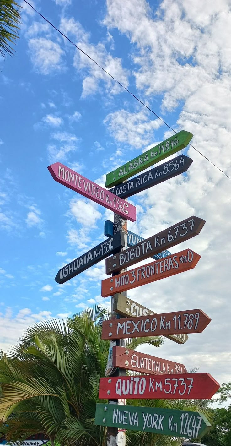 a pole with many different street signs on it's sides and palm trees in the background