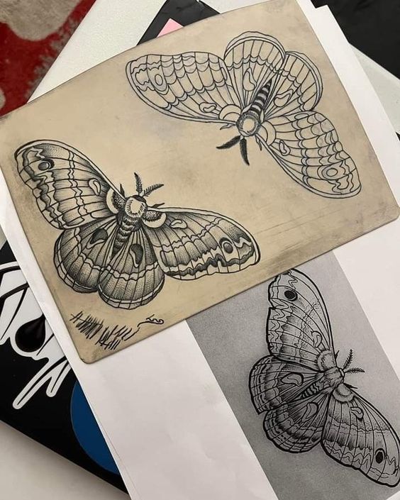 some butterflies are sitting on top of papers and one is black and white, the other is gray