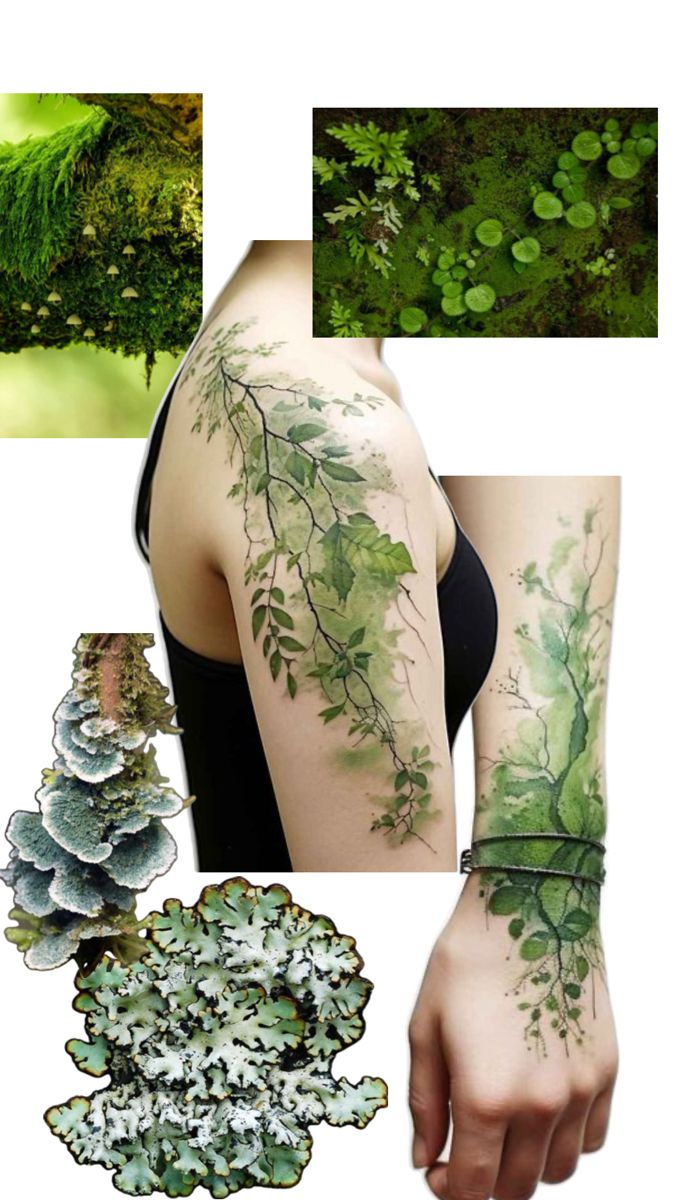 some green plants and leaves are shown in this collage, including the arm tattoo