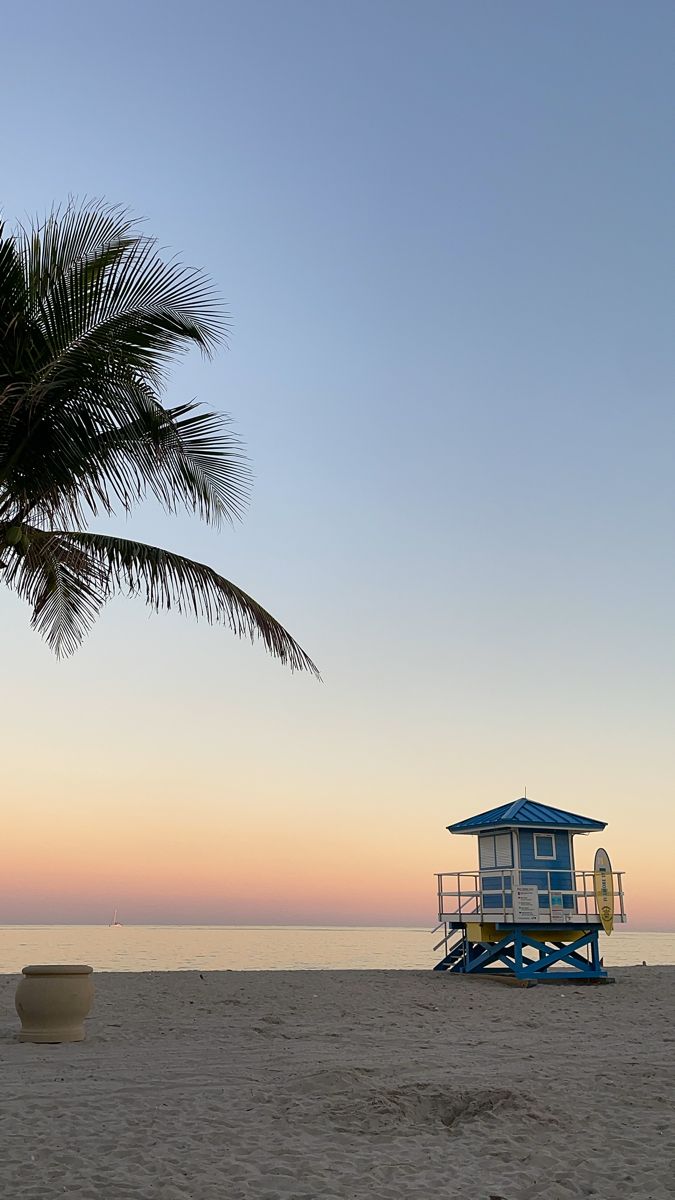 a blue lifeguard tower sitting on top of a beach next to a palm tree