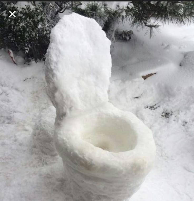 there is a toilet made out of snow outside in the snow with words written below it