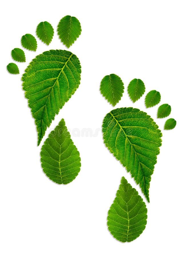 green leaf footprints on white background