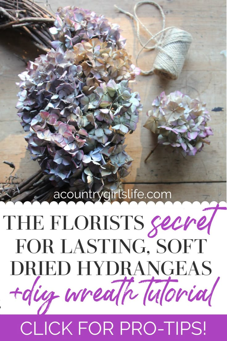 the florists secret for lasting, soft dried hydrangeas are easy to make