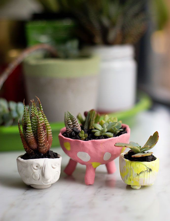 three small potted plants sitting next to each other on top of a white counter