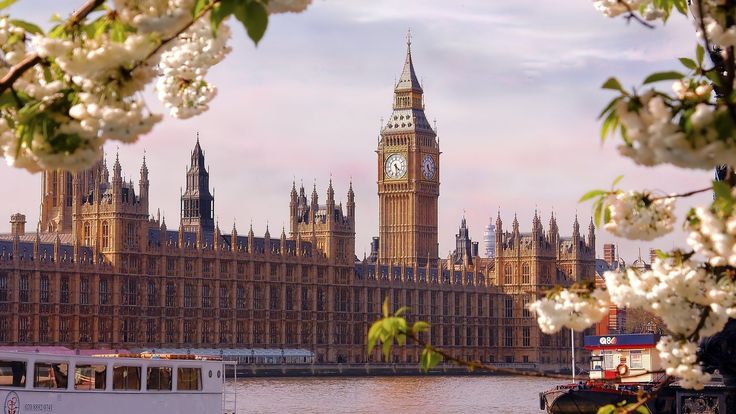 the big ben clock tower towering over the city of london with cherry blossoms in bloom