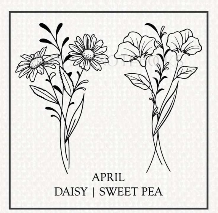 two flowers with the words,'april daisy sweet pea'in black and white