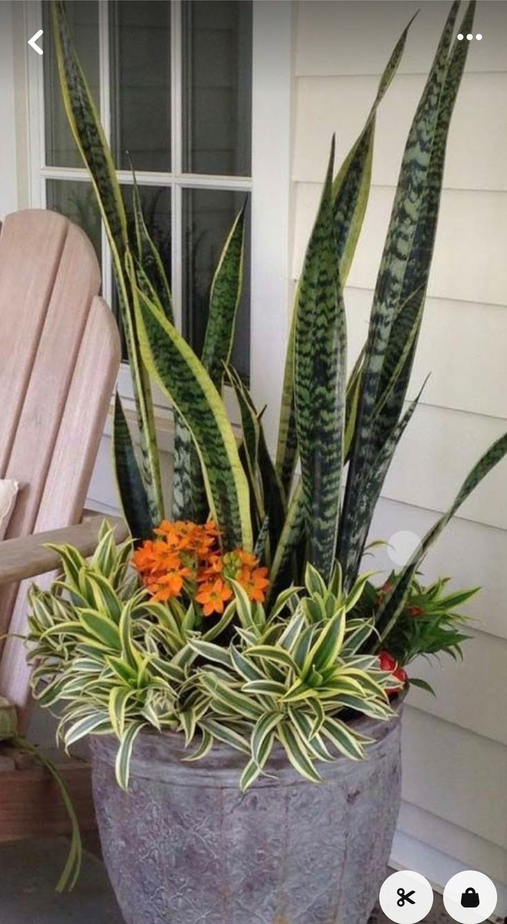 a potted plant sitting on top of a wooden chair