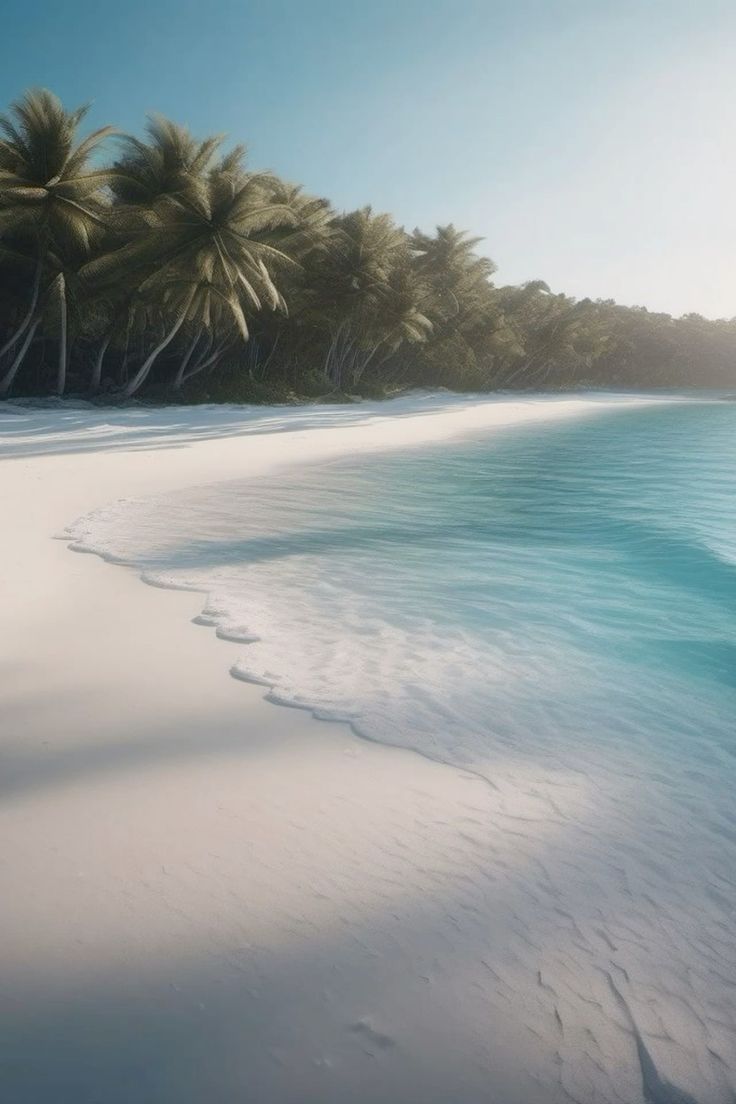 an image of a beach with palm trees in the background