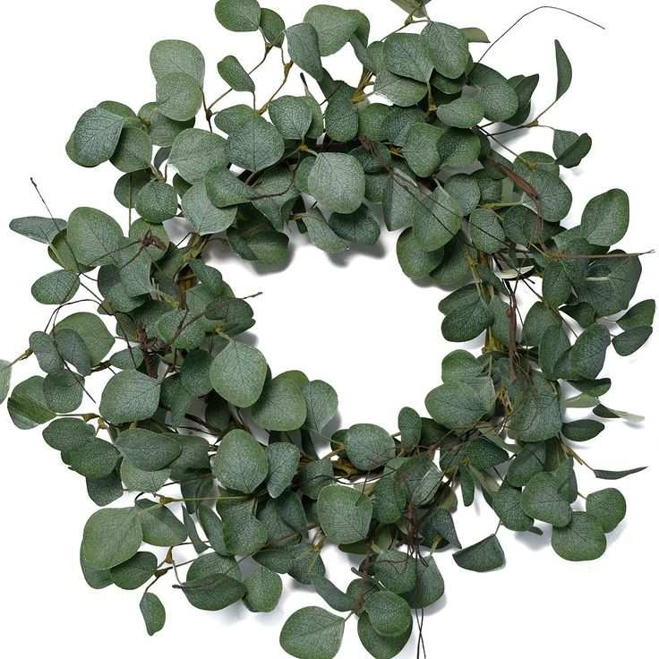 a wreath made out of green leaves on a white background