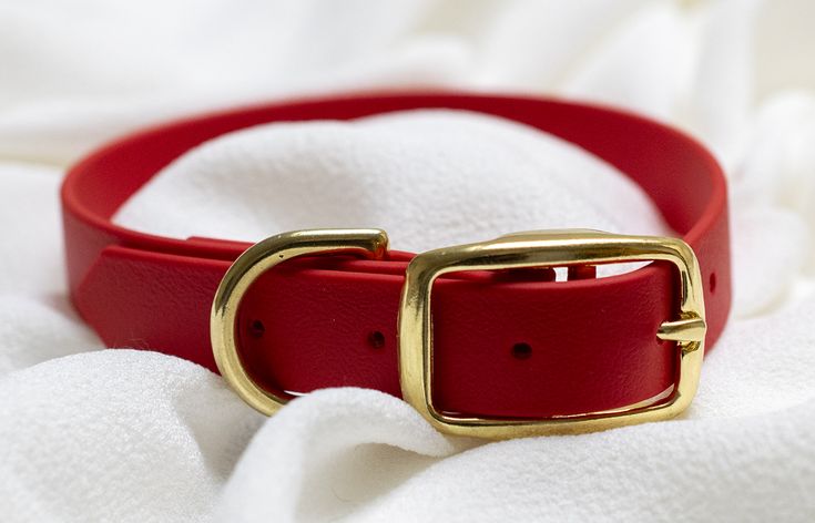 A red dog collar sits on a white background Red Dog Collar And Leash, Red Dog Collar Aesthetic, Dog Collar Aesthetic, Pet Regression, Velvet Dog Collar, Personalized Leather Dog Collar, Red Dog Collar, Leather Dog Collar Custom, Aesthetic Dog