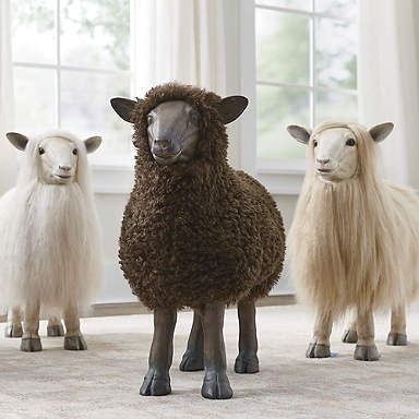 three sheep standing next to each other in front of a window