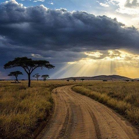 the sun shines through clouds over an open field and dirt road with trees on either side