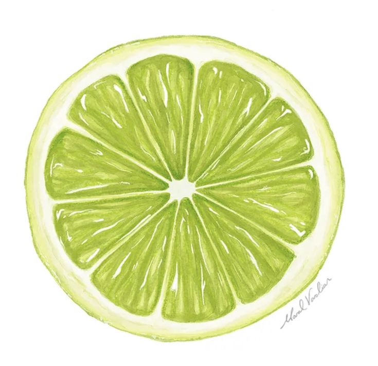 a drawing of a lime slice on a white background with watercolor pencils in it