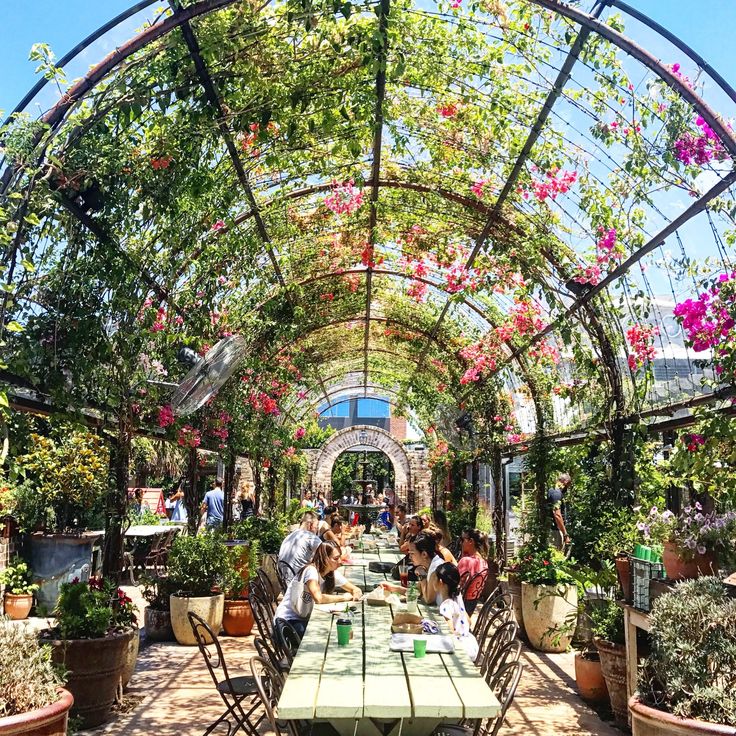 people are sitting at a table in a greenhouse