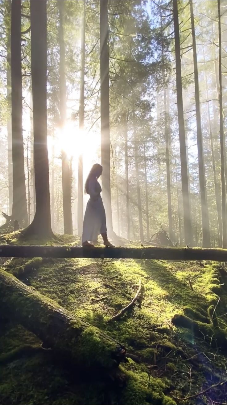 a woman standing in the middle of a forest looking at the sun through the trees