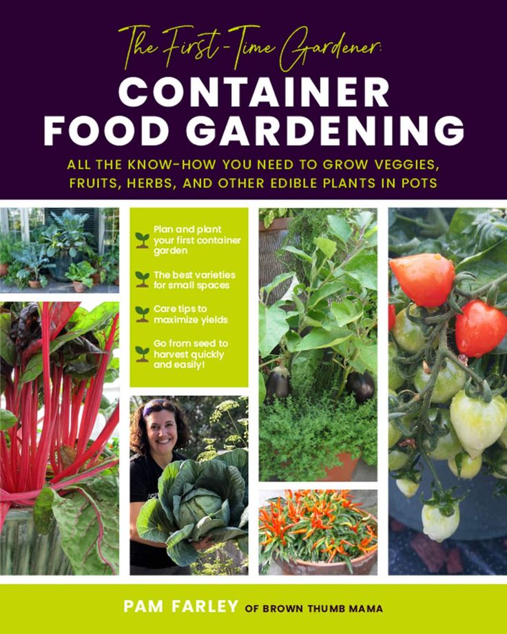 the first year gardener container food gardening