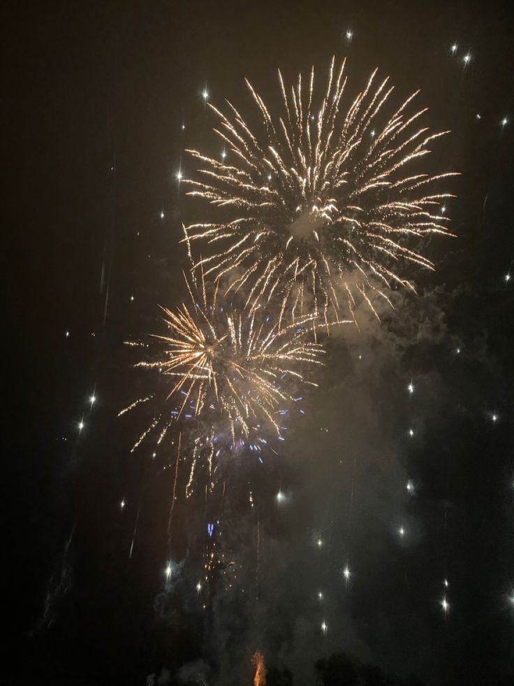 fireworks are lit up in the night sky