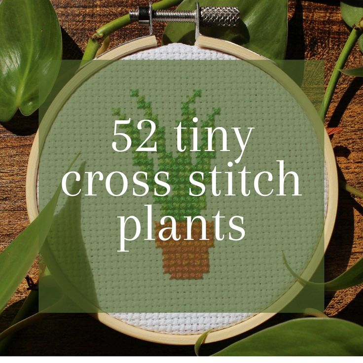 a cross stitch plant with the words, 52 tiny cross stitch plants in front of it