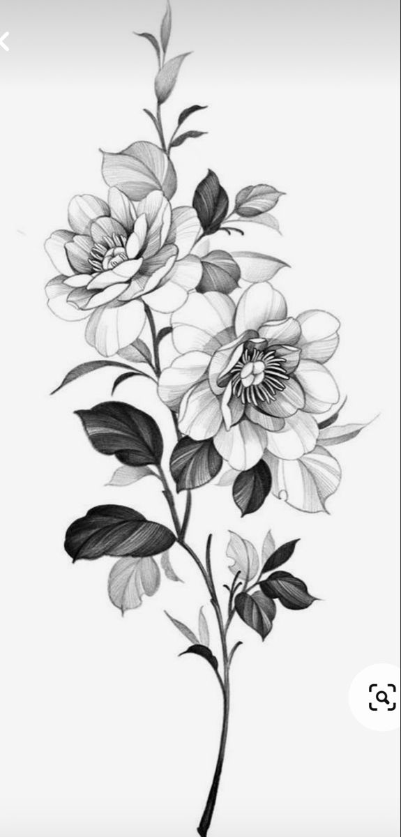 a black and white drawing of flowers