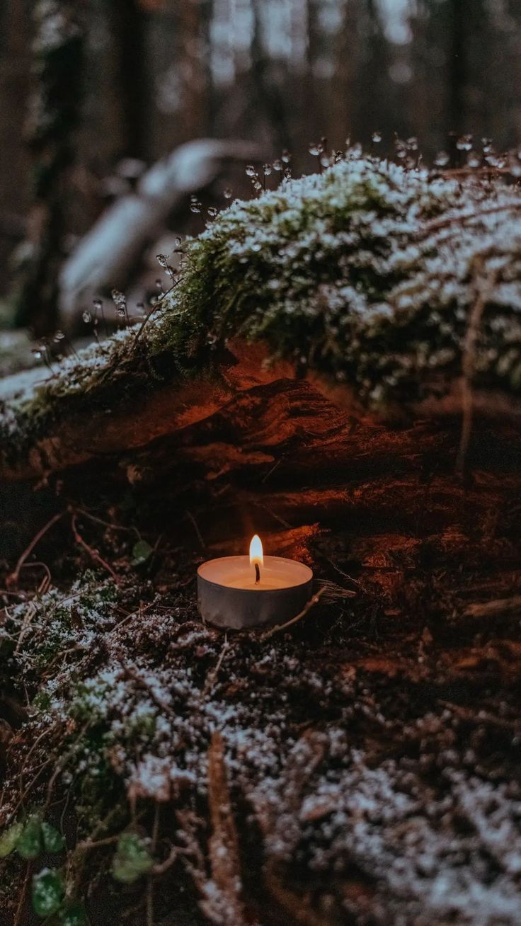 a lit candle sitting on top of a moss covered ground in the middle of a forest