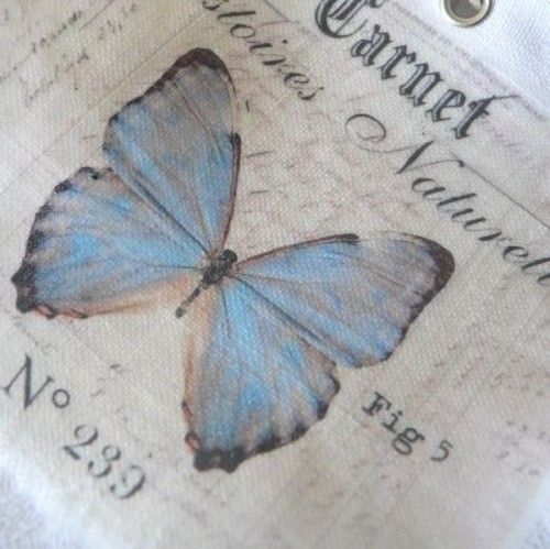 a blue butterfly sitting on top of a piece of paper