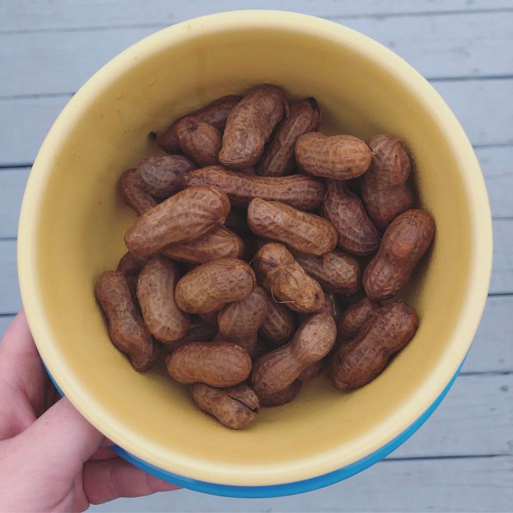 a person holding a yellow bowl filled with peanuts