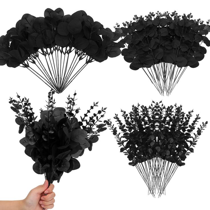 three different types of flowers are shown in black and white, with one being held by a hand