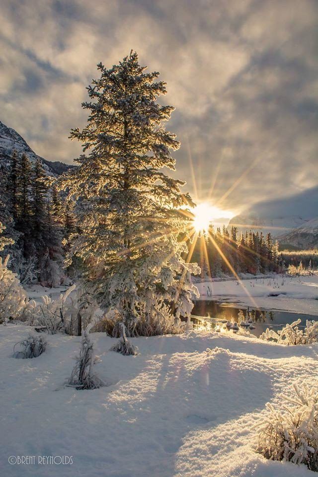 the sun shines brightly through the clouds over snow - covered trees and shrubs in front of a mountain lake