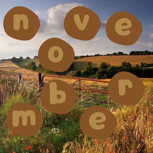 the words move made out of brown circles in front of a field with red flowers