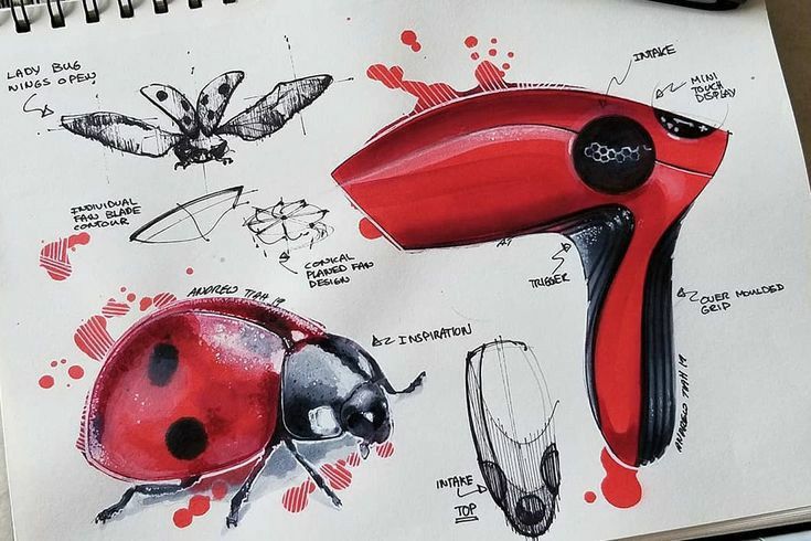 a drawing of a ladybug blow dryer and insect drawings