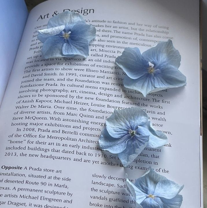 three blue flowers on top of an open book